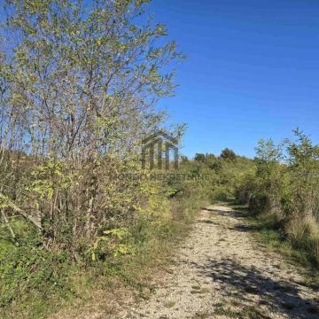 Istra,  veliko zemljište  12 000 m2 uz Autocestu kod Kanfanara