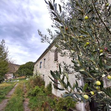 Istra, Roč: Izuzetna kamena kuća s pogledom+75.575m2 zemlje!