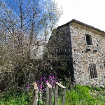 Istra Roč kamena starina sa okućnicom!