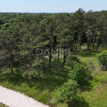 ISTRA, ŽMINJ - Građevinsko zemljište na vrhunskoj lokaciji