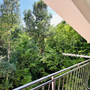 Kavran - Kuća okružena zelenilom u blizini mora ID: 1542-1