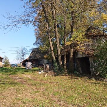 Kuća: Bratina, 483.00 m2