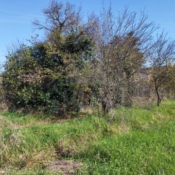 Ruševna kuća | 2447 m2 zemljišta | Lug
