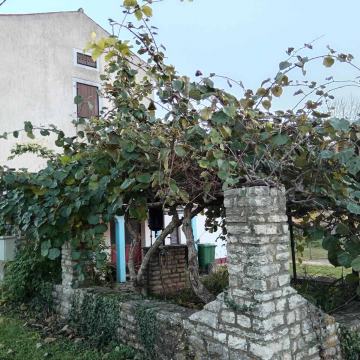 KUĆA U NIZU NA MIRNOJ LOKACIJI