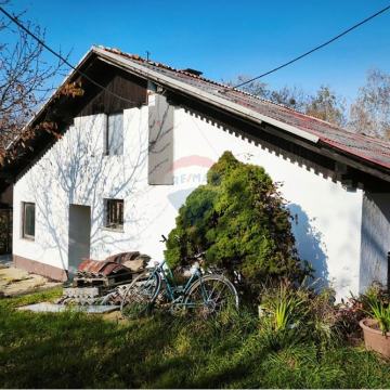 Kuća u prirodnom okruženju s potencijalom poslovnog prostora