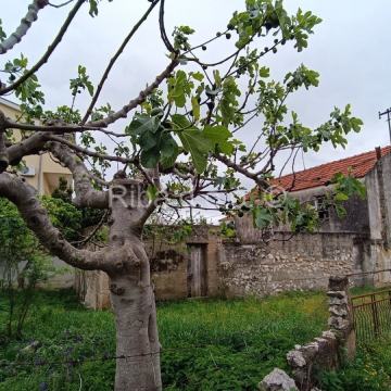 Kuća Prodaja Turanj 170 m2