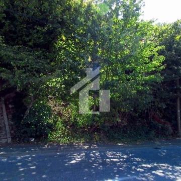 Kuća za rušenje, 55 m2 sa zemljištom, Gračani (Zagreb)