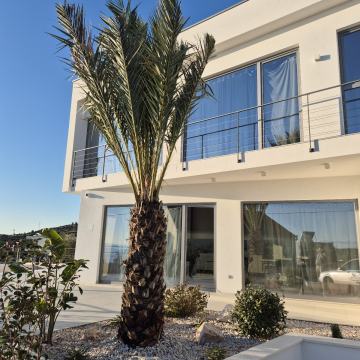 NOVO : Villa Seget Donji, 250.00 m2 / Projekt u roh bau