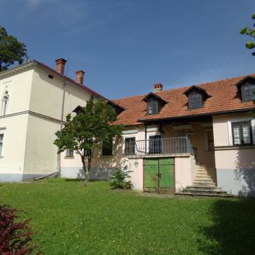 Seketin: dvorac od 460 m2, dvorište, park, pašnjak, šuma, 46000 m2