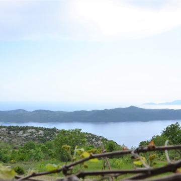 Dvojna kuća za renoviranje u blizini Slanog