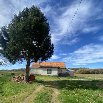 Kuća: Volavje, 80.00 m2