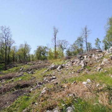 MATULJI -LIJEPO GRAĐEVINSKO ZEMLJIŠTE, BLIZINA IZLAZA NA  OBILAZNICU