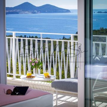 Moderna vila- Orašac