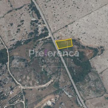 Novalja, Šonjevi stani - zemljište s maslinama