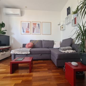 ŽNJAN, NOVONAMJEŠTEN JEDNOSOBAN S GARAŽOM, DOSTUPAN OD 3.4. do 15.6.20