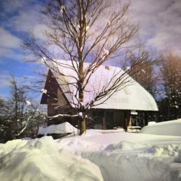 SAMO KOD NAS! NOVOSAGRAĐENA KUĆA U PREKRASNOM ŠUMSKOM AMBIJENTU
