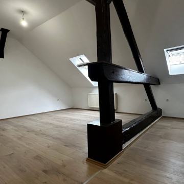 Novouređeni 3-sobni stan u potkrovlju, Sveti Duh, u blizini Ilice!