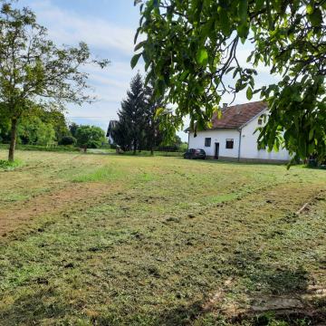 Okolica Daruvara, Dežanovac, kuća 130.00 m2, velika okućnica i šuma