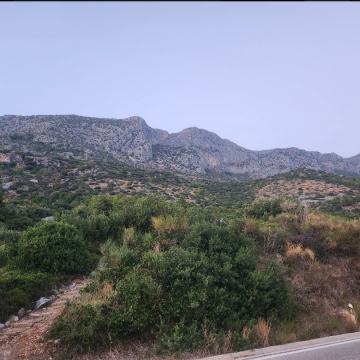Podaca - Gradac, građevinsko zemljište uz magistralu