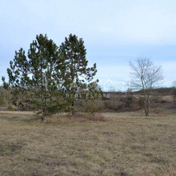 Poljoprivredni teren od 3000 m2 uz asfaltiran put, voda do terena