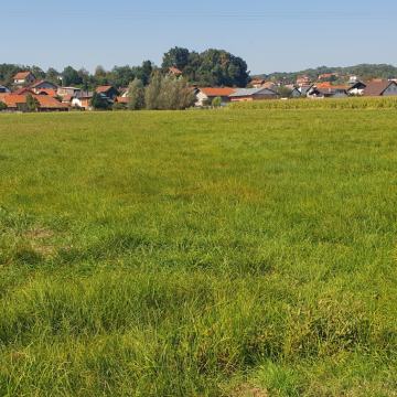 Poljoprivredno zemlj., Pojatno, Sportska ul. 4200 m2, za razne namjene
