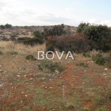 Poljoprivredno zemljište 7800 m2 na Diklu, Zadar *1. RED DO GRAĐEVINSK