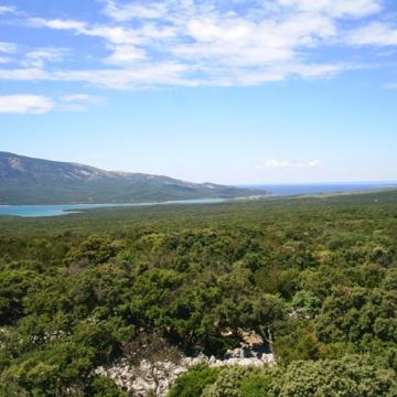 Poljoprivredno zemljište, Cres, 106000 m2