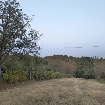 Građevinsko zemljište, Jamnica Pisarovinska, 1962 m2