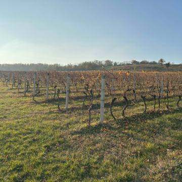 Poljoprivredno zemljište, Kotlina, 46000 m2