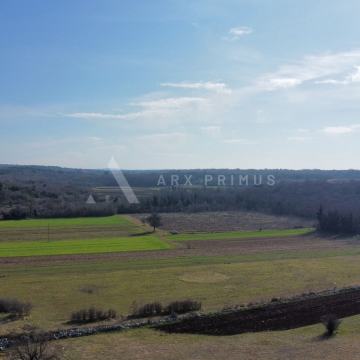 Poljoprivredno zemljište u okolici Umaga