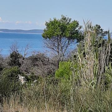 Poljoprivredno zemljište, Vir, 1019 m2