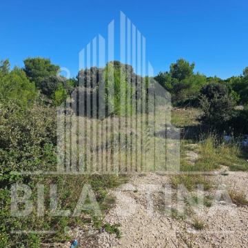 Poljoprivredno zemljište - Vir