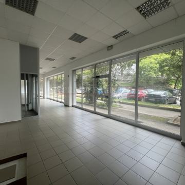 PRODAJA - POSLOVNI PROSTOR - PULA