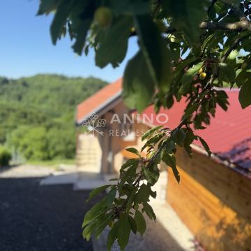 Pozicija za poželjeti – vikendica s velikom okućnicom kod Donje Stubic