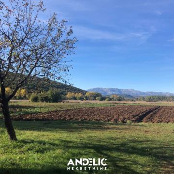 PREDIVNA SAMOSTOJEĆA KUĆA - GRAB TRILJ