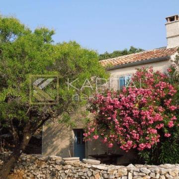 Punta Križa - Raj na Zemlji okružen lavandom i maslinama!