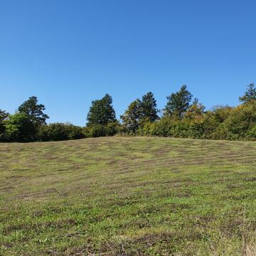 Pušča, građevinsko zemljište, Hrebine, 6598m2