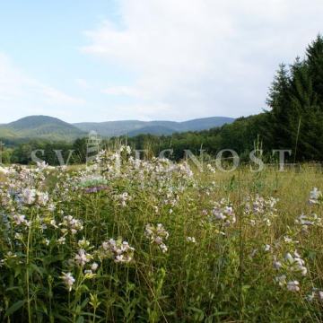 PRILIKA! Roh bau kuća 120 m2 (P+3), na okućnici 580 m2 u blizini lječi