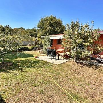 Rovinj, prizemnica s bazenom, okućnicom i maslinikom