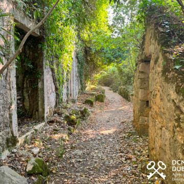 Ruševine na Koločepu