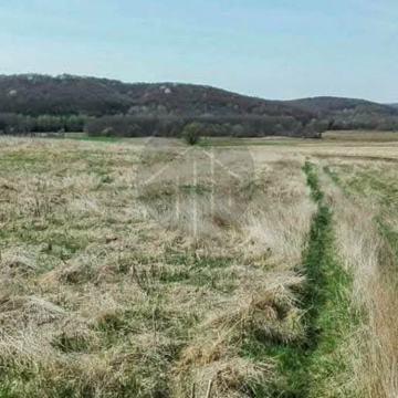 Seosko imanje / Seoski turizam / Ranč 44.250 m2