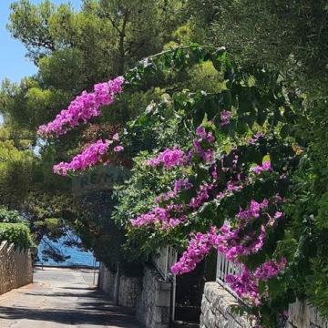 Split, Meje, kuća, stambeno-poslovna 1236 m2 s pogledom na more