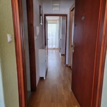 Stan: Zagreb (Vrbani), 47.00 m2 NOVIJE 1S PREG. U 2S 217000E