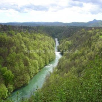 Šuma sa šumskim zemljištem