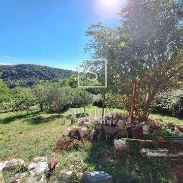 SUŠAČKA DRAGA, STARINA U ZELENILU