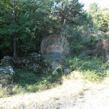 SVETA JELENA - M.DRAGA - RUŠEVINA U TRAGOVIMA