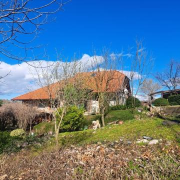 VARAŽDIN BREG - HALIĆ - KUĆA 164 m2 SA OKUĆNICOM