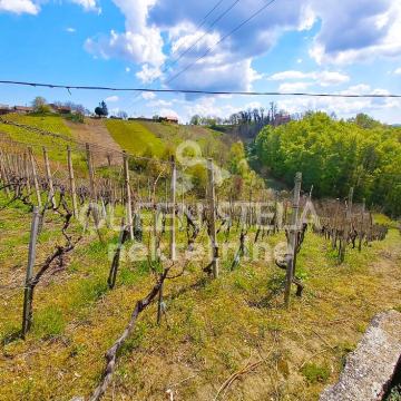 Vikend kuća Vinica Breg, 220 m2, vinarija, vinogradi, zemljište 5848 m