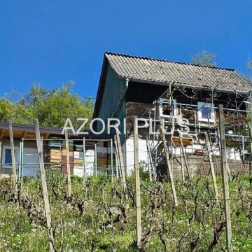 Sniženo-Vugrovec Donji-vikendica 45m2  na građevinskoj čestici 1300 m2