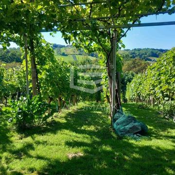 VIKENDICA - DONJI KONCOVČAK - 47 m2